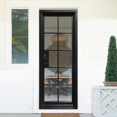 Legendirondoors Simple Iron French Single Door With 10lites