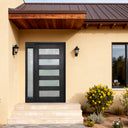 Custom thermal insulated iron pivot door with modern glass panel design
