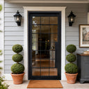 Black steel grid glass pivot entry door with divided glass panels for modern home entrance