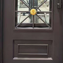 Wrought Iron Exterior Entry single Door with clear glass