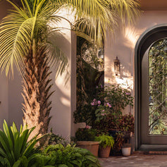 standard iron single door