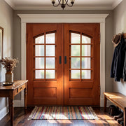 Wood Look Iron Double Front Doors with Glass Panels and Custom RAL Color W151