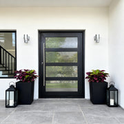 Handmade Iron Pivot Entry Door with Long Pull Handle and Glass PT105