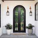 Thermal Break Round Top Iron French Double Door with Tempered Glass TW126
