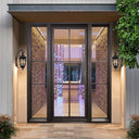 Legend Iron Doors High Quality Iron French Single Door with Two Sidelites 