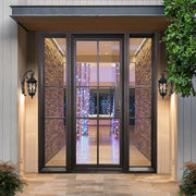 Modern Iron French Single Door with Two Sidelights and Glass F111