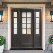 Iron French Single Door with Two Sidelights and Frosted Glass F110