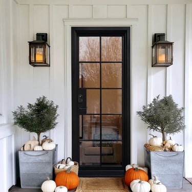 Legendirondoors Simple Iron French Single Door With 10lites