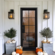 Thermal Break Iron French Single Door with 10 Lites Glass TF102