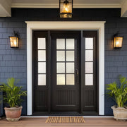 Thermal Break Iron French Single Door For Cold Weather TF110