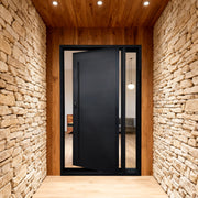 Luxury Custom Metal Iron Pivot Door with Solid Iron Panel PT106