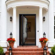 Custom Thermal Break Iron Pivot Door with Full Glass Panel TPT104