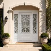 Thermal Break Custom RAL White Iron Wrought Single Door with Two Sidelights TW137