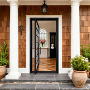 Thermal Break Comtempory Pivot Door with Divided Glass TPT114