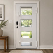 Modern Minimalist Single Entry Door with Four Lite Glass Design W149