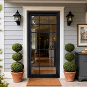 Modern Farmhouse Black Steel  Pivot Door with Grid Glass  PT114